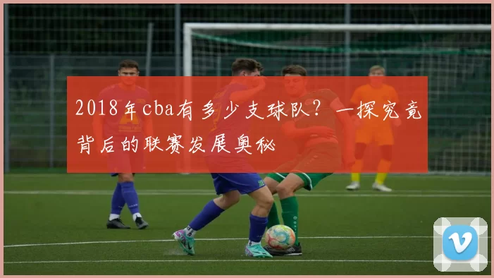 2018年cba有多少支球队？一探究竟背后的联赛发展奥秘