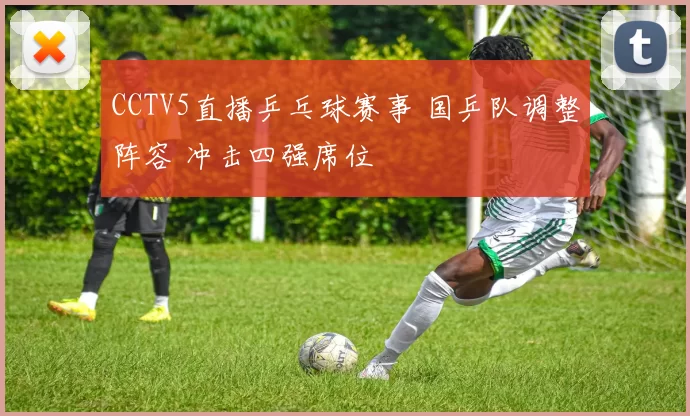 CCTV5直播乒乓球赛事 国乒队调整阵容 冲击四强席位