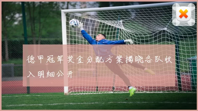 德甲冠军奖金分配方案揭晓各队收入明细公开