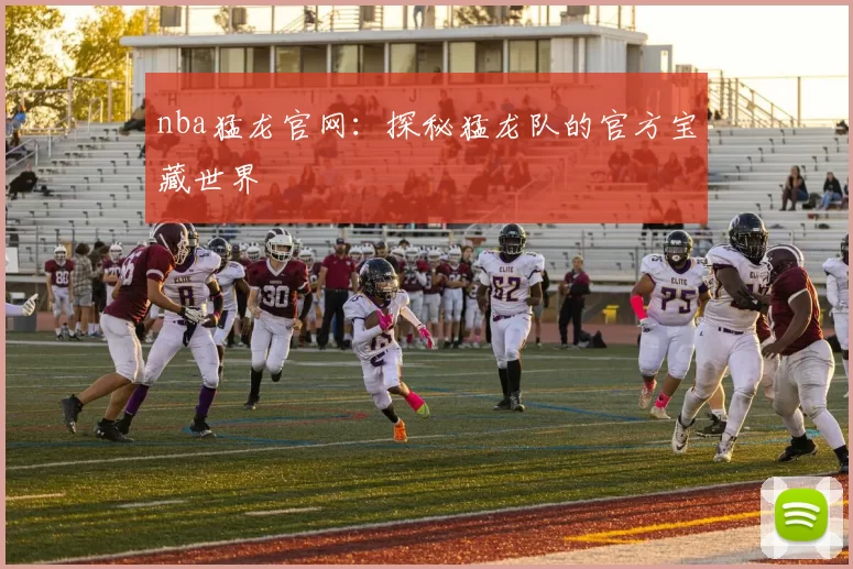 nba猛龙官网：探秘猛龙队的官方宝藏世界