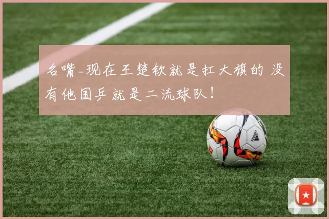 名嘴_现在王楚钦就是扛大旗的 没有他国乒就是二流球队!