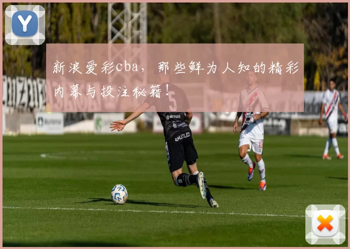 新浪爱彩cba，那些鲜为人知的精彩内幕与投注秘籍！